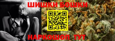 индика Обнинск