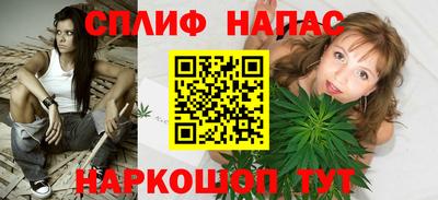 индика Обнинск