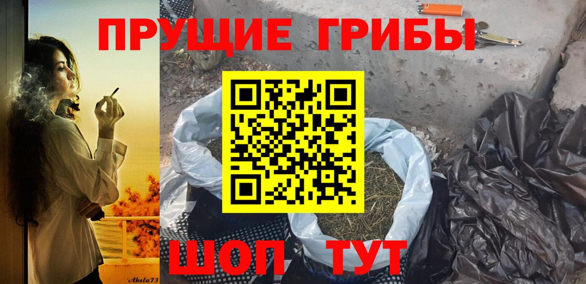 магазин    Вход с VPN  Троицк  Псилоцибиновые грибы Psilocybe 
