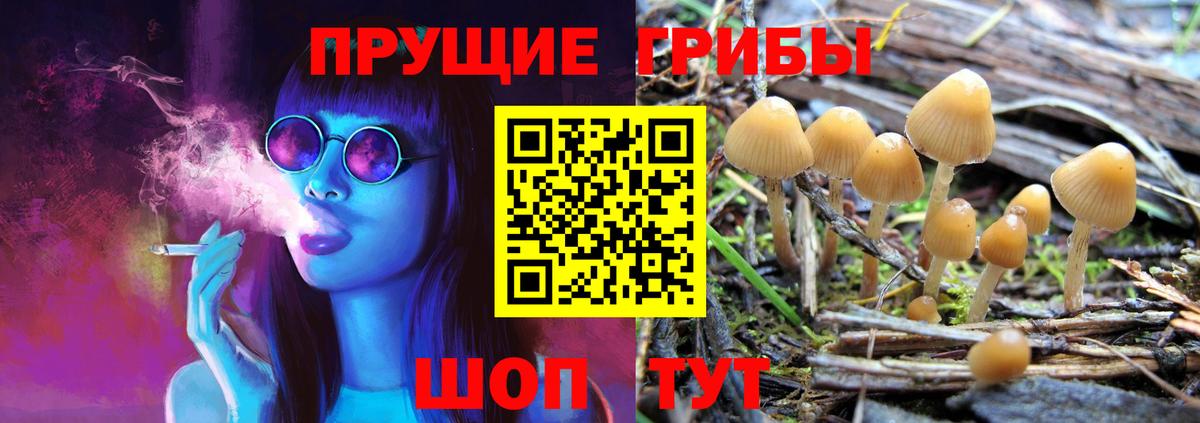 Галлюциногенные грибы GOLDEN TEACHER Троицк